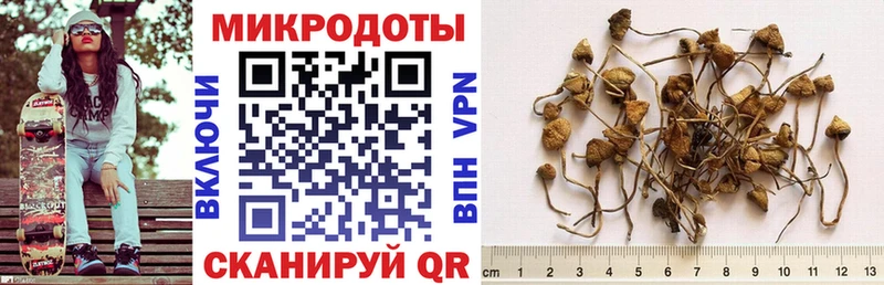 Галлюциногенные грибы мицелий купить Белинский